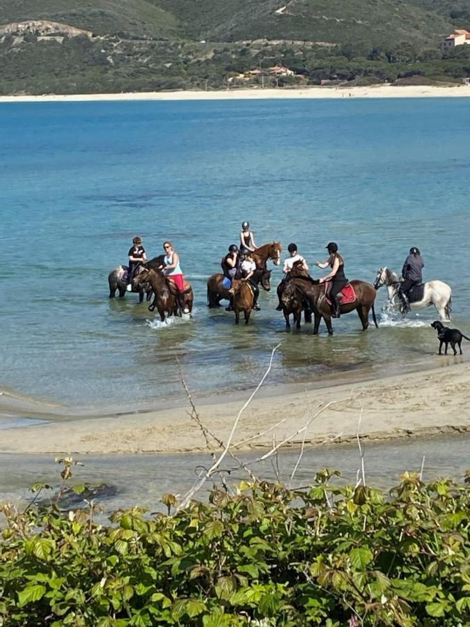 Caselena , Un Havre De Paix En Balagne Ville-di-Paraso المظهر الخارجي الصورة