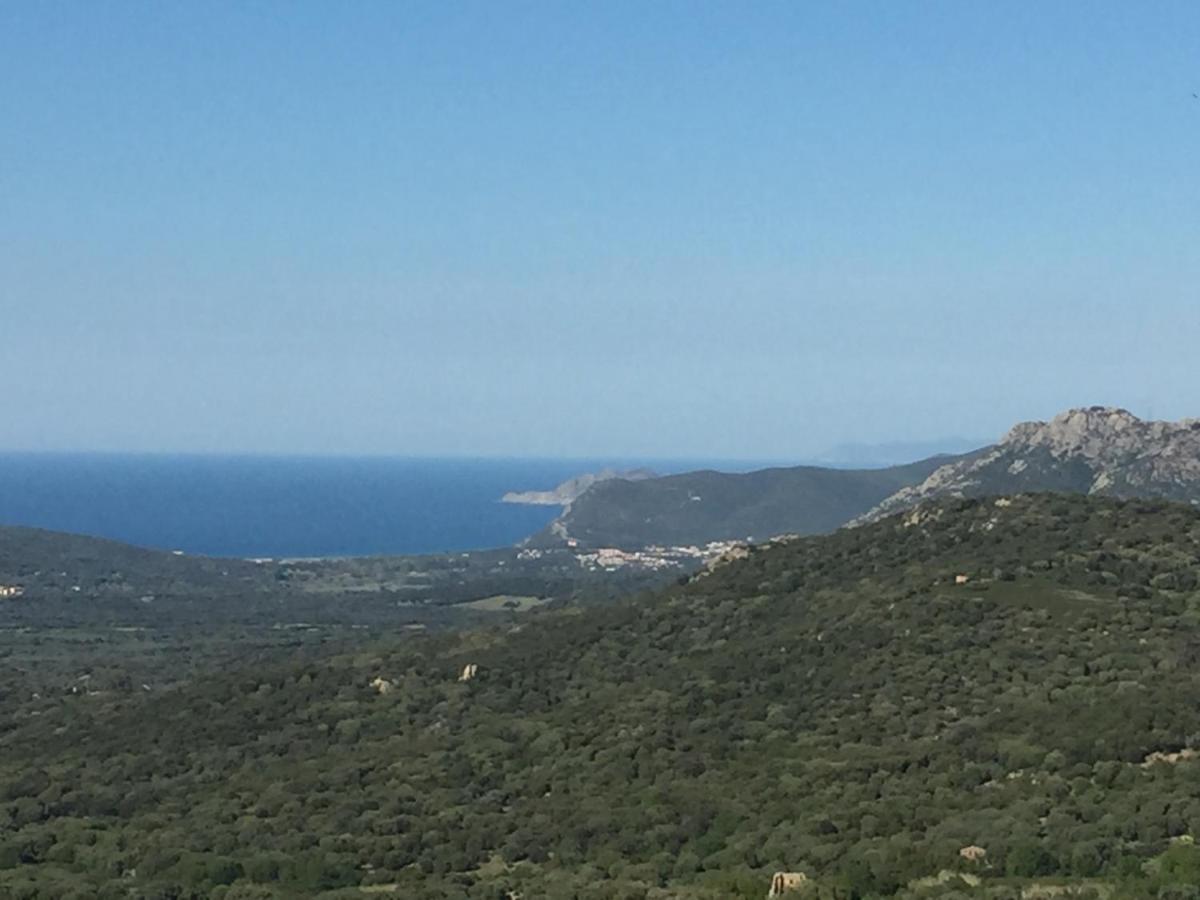 Caselena , Un Havre De Paix En Balagne Ville-di-Paraso المظهر الخارجي الصورة