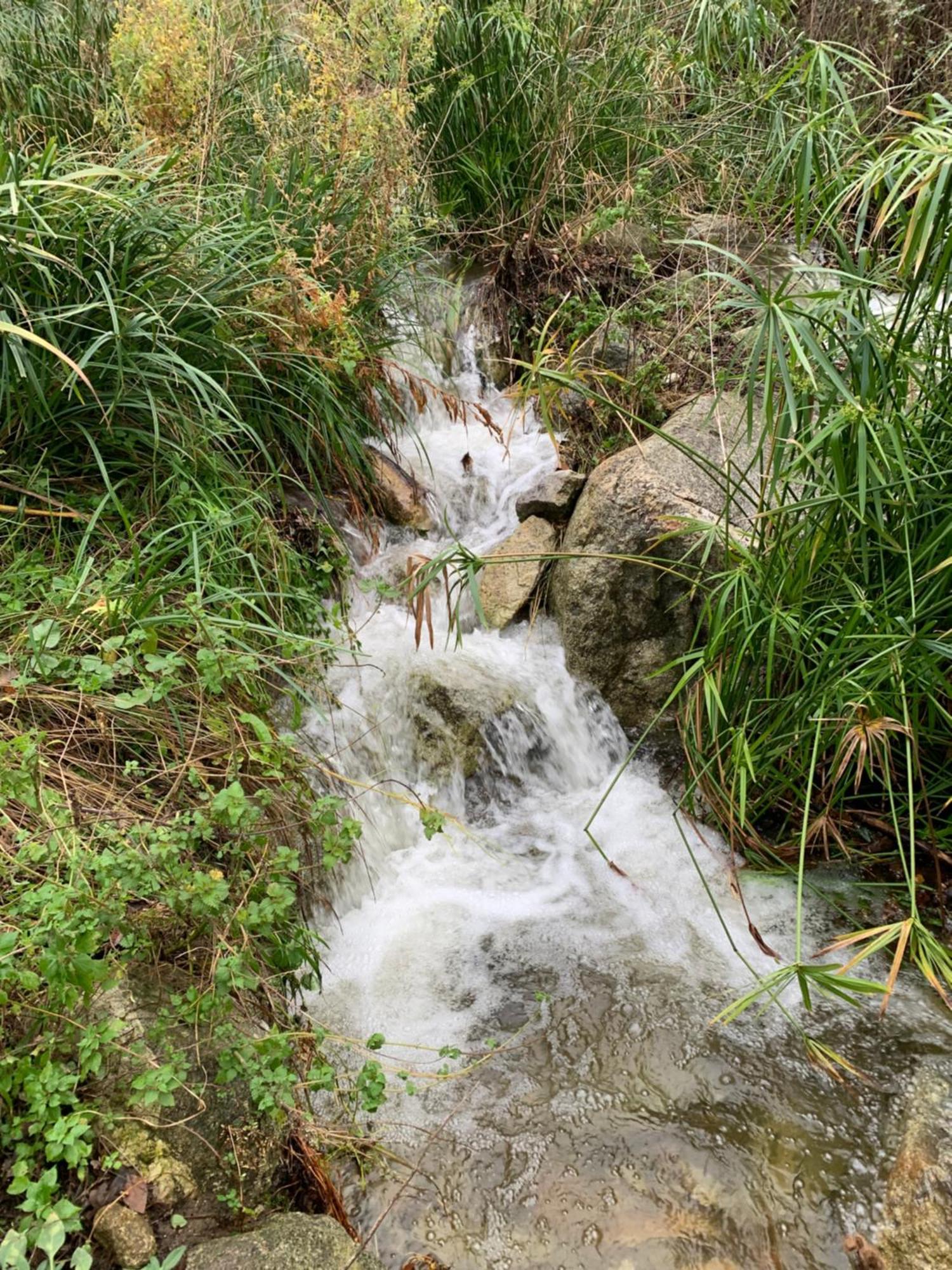Caselena , Un Havre De Paix En Balagne Ville-di-Paraso المظهر الخارجي الصورة